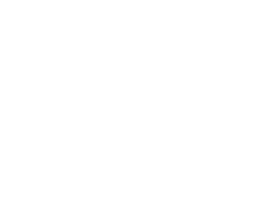 White Hawk Studios logo with stylized wings above text.